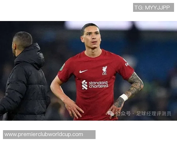 努涅斯在赛场上的崛起与挑战分析及未来发展展望