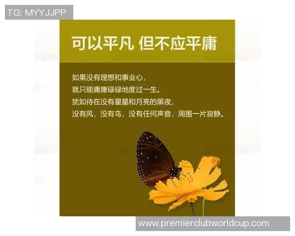 张宁的奋斗历程与人生哲学探讨:从平凡到卓越的心路历程